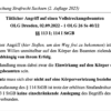 Rechtsprechung Strafrecht Sachsen – Bild 6