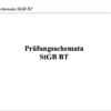 Prüfungsschemata StGB BT – Bild 2
